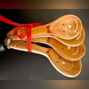 NEW Gingerbread painted ceramic teaspoon measuring set